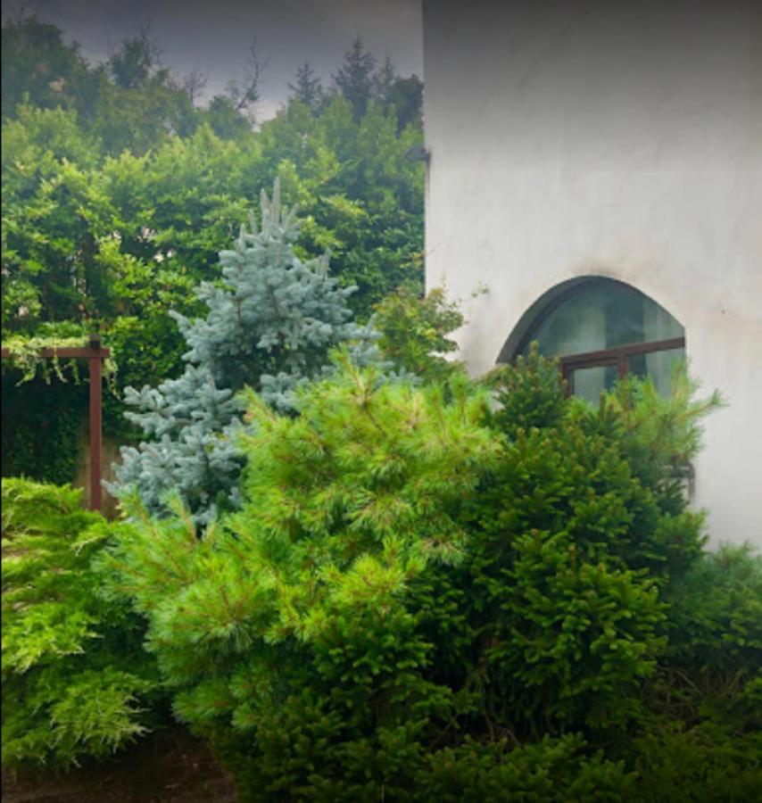 Il Giardino Segreto Carbognano Exterior foto